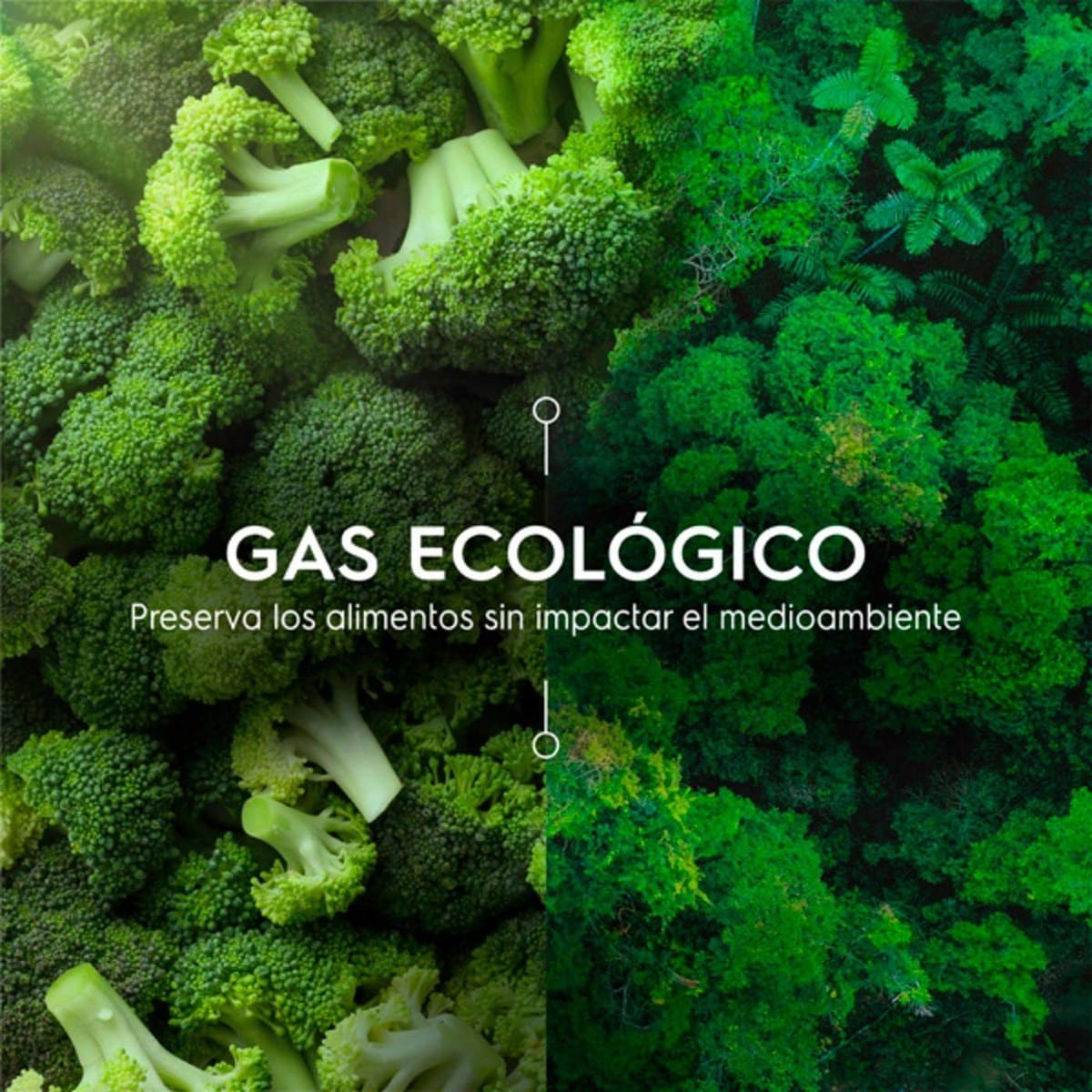 Congelador Vertical Electrolux 168 Litros Gris | EFUY16P3HVG - Image 2